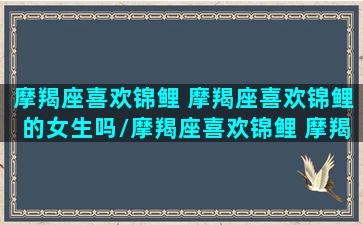 摩羯座喜欢锦鲤 摩羯座喜欢锦鲤的女生吗/摩羯座喜欢锦鲤 摩羯座喜欢锦鲤的女生吗-我的网站